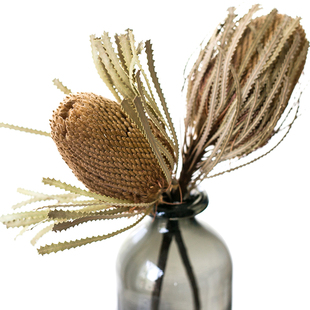 日系进口天然真花佛塔针垫花干花帝王花复古插花花束客厅装饰摆件