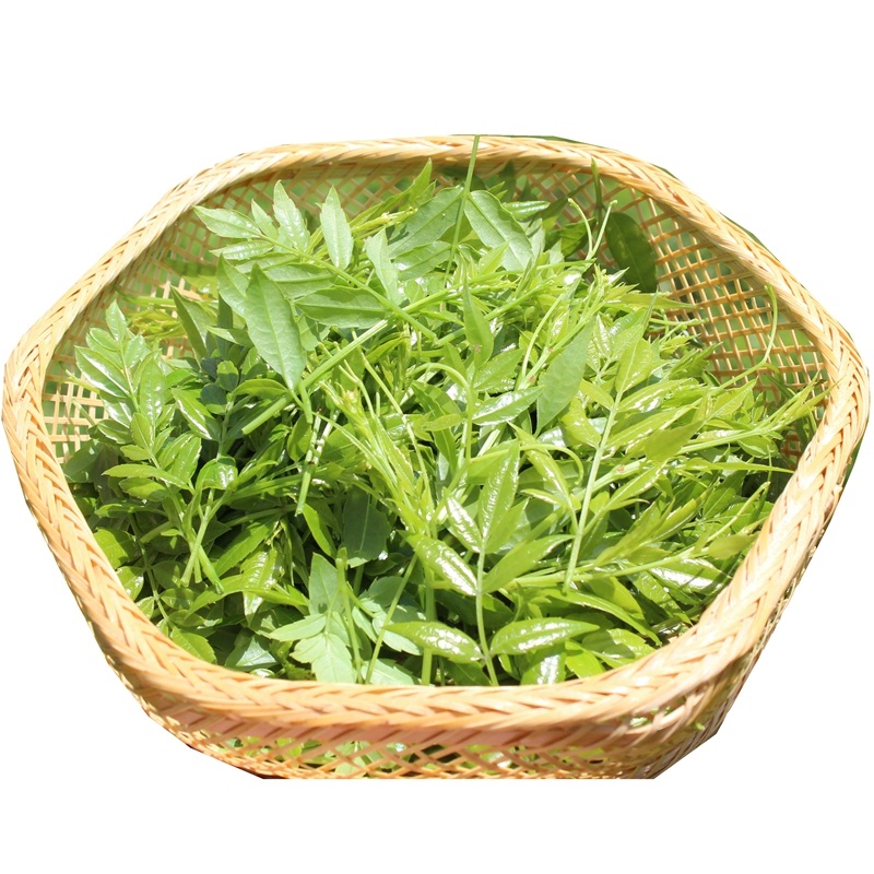 张家界嫩芽尖莓茶野生甘露嫩叶