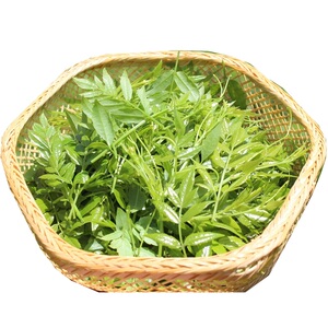 张家界嫩芽尖莓茶野生甘露嫩叶