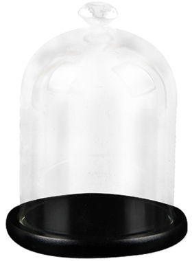 玻璃罩diy保鲜花防尘批发摆件