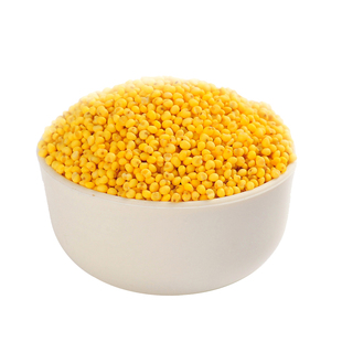 山西大黄米新米农家自种黏黄米粘大黄米糯大黄米汤圆包粽子大黄米