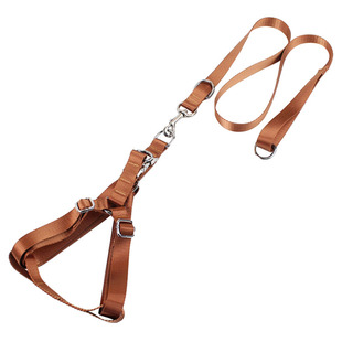 金毛狗链子专业可调节狗狗牵引绳专用胸背带狗绳中型萨摩拉布拉多