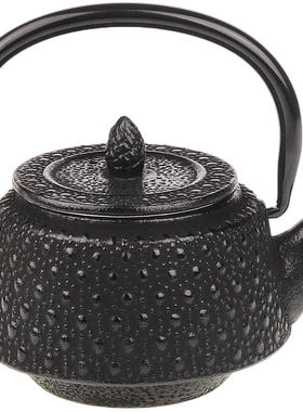 南部铁器急须茶壶包邮