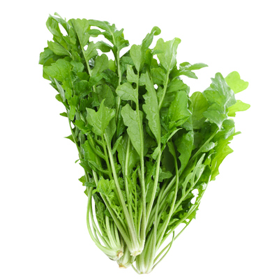 野生大叶小叶荠荠菜阳台四季种子