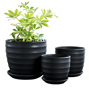 多肉植物花盆铺面石多肉土专用营养土植物铺面石珍珠岩炭