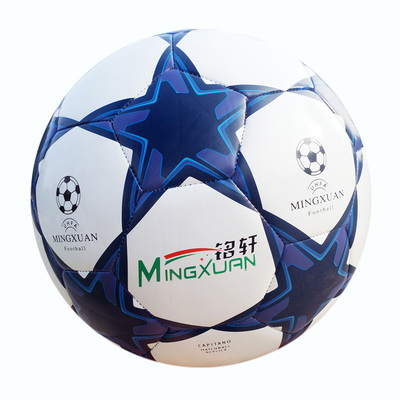 赛狼正品足球5号成人标准4号学生