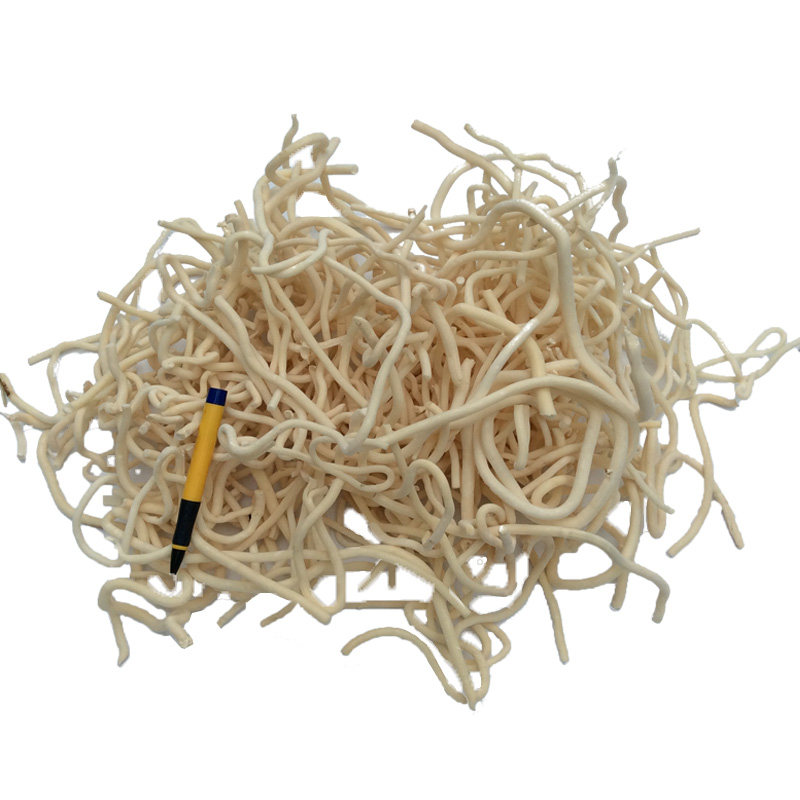 野生小通草传统催奶汤料中药材