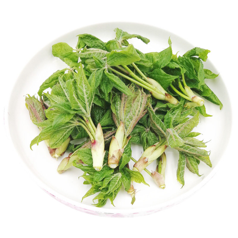 产地发货长白山野菜新鲜现采