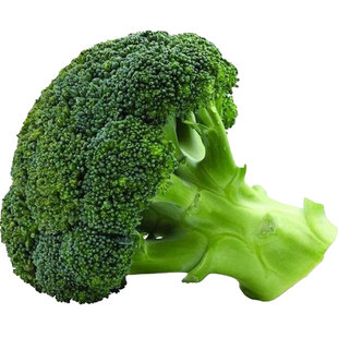 西兰花种籽西兰花种子蔬青甘蓝包菜花菜种籽花籽孑西蓝花四季高产