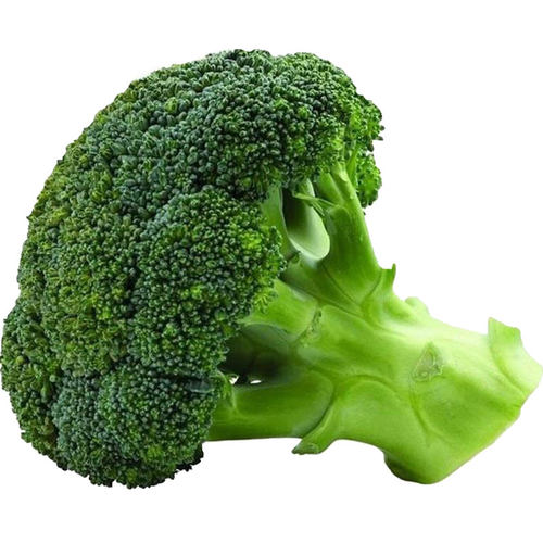 西兰花种籽西兰花种子蔬青甘蓝包菜花菜种籽花籽孑西蓝花四季高产