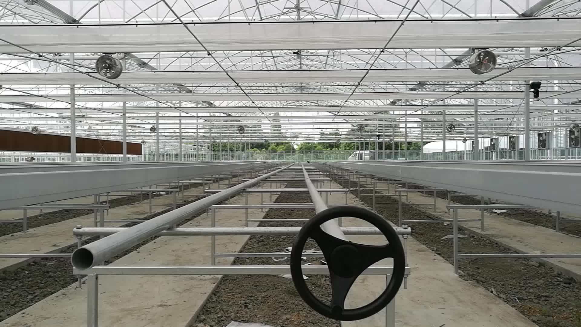 Modular Galvanized Steel Frame Venlo Greenhouse Kits Buy Greenhouse