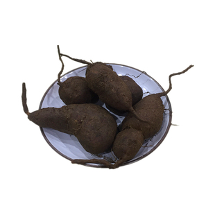 浙江新鲜三叶青破壁打粉中药金线吊葫芦1斤500g清热凉茶化疗