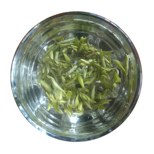 临海蟠毫特优绿茶2025明前新茶头采茶叶春茶浙江高山茶礼盒装250g