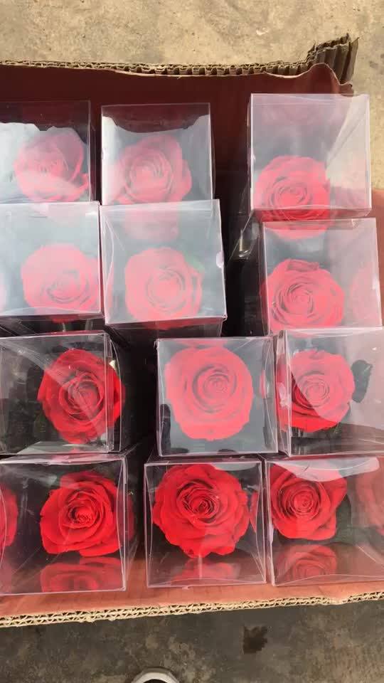 Wholesale Long Stem Preserved Rose With 60 Cm Stem Pvc Box Buy Stem