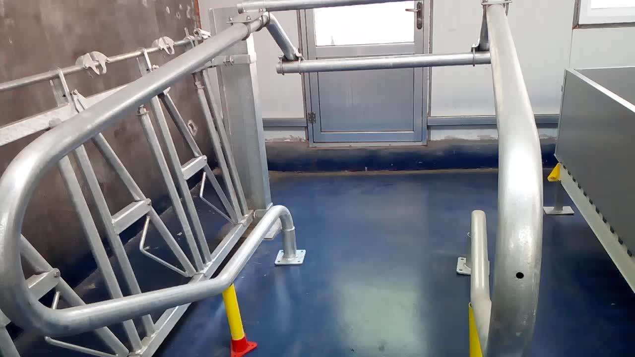 Jersey Cow Free Stall Panel Cattle Livestock For Dairy Farm Equipment