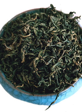 内蒙古野生紫花苦菜根茶树荣