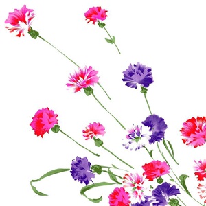 山茶花专用营养土桂花金橘观赏竹种植专用土盆栽无菌种植土壤