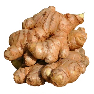 正宗老姜黄姜生姜新鲜现挖老黄姜土姜母姜月子姜黄姜蔬菜