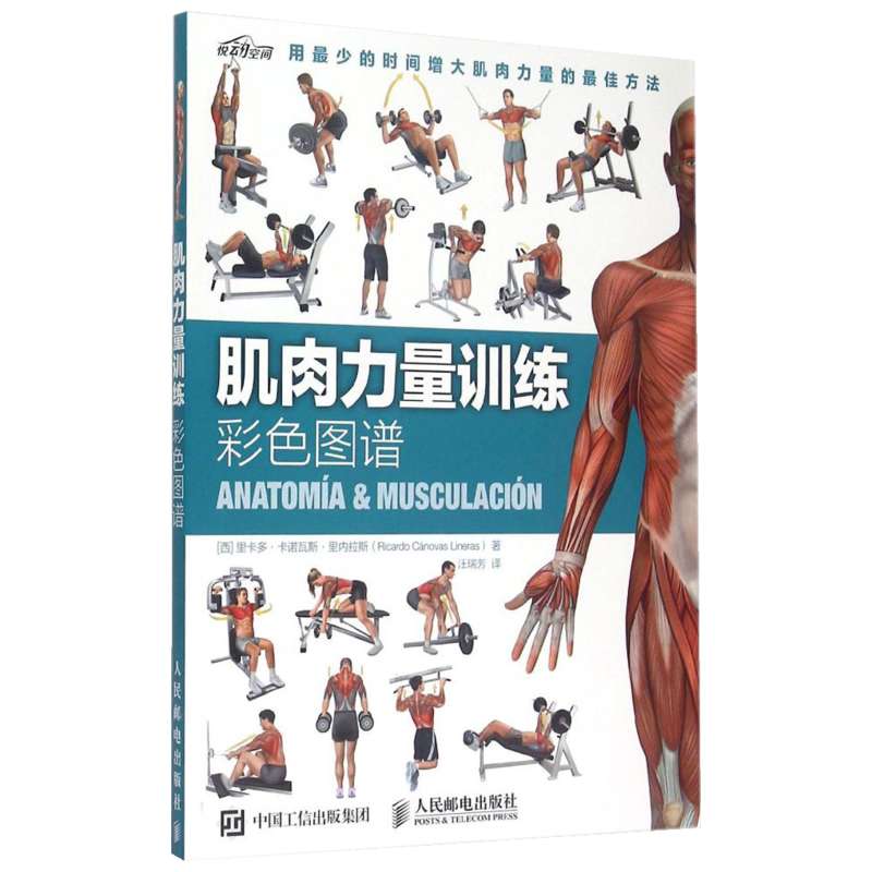 肌肉力量训练彩色图谱 拉伸训练书 体育保健学 运动健身书籍练肌肉 肌肉训练图谱塑造全书 减脂增肌 健身房健身教练书籍