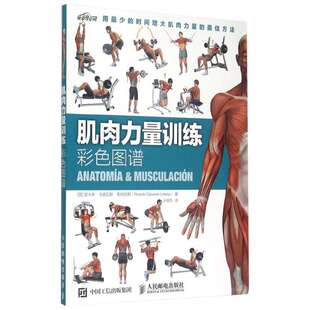 肌肉力量训练彩色图谱 拉伸训练书 体育保健学 运动健身书籍练肌肉 肌肉训练图谱塑造全书 减脂增肌 健身房健身教练书籍