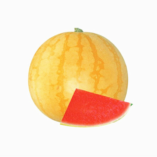 黄皮西瓜 红壤黄壤西瓜种子高产高糖早熟薄皮春夏秋四季西瓜种子