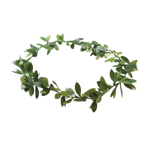 大圣摄影 pvc绿色藤条50cm 淘宝摄影道具 拍照拍摄背景 花环手环