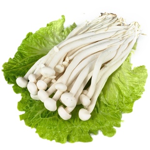 新鲜海鲜菇约 食用菌菇煲汤涮菜蔬菜炒菜食材 全国多省5件包邮
