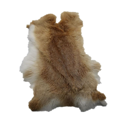 兔子皮整张兔毛皮料兔皮皮毛一体