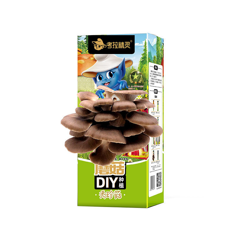 小学生幼儿园蘑菇种植DIY蘑菇盒子可秀珍菇蘑菇种植包儿童2盒装