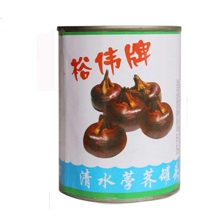 裕伟牌清水荸荠（马蹄）罐头567g 饺子混沌馅狮子头火锅炖汤炒菜