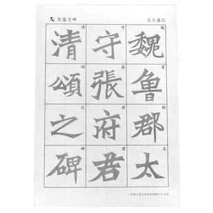 魏碑全集张猛龙碑楷书宣纸描红毛笔书法字帖练毛笔字临摹作品纸拓片集字作品集放大练习纸集字古诗技法练字纸