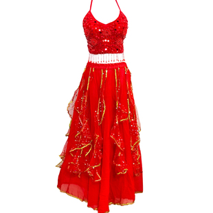 肚皮舞演出服装2023新款沙丽表演服印度舞舞蹈服性感成人民族舞服