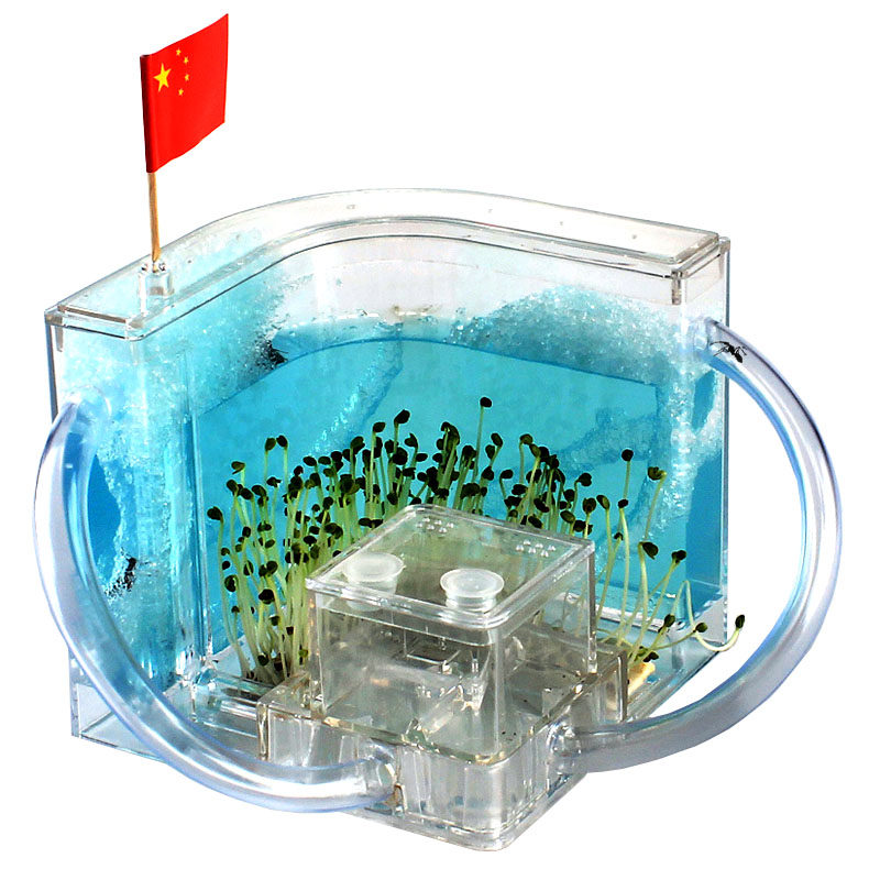 L型蚂蚁城堡升级透明加大工坊