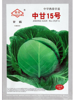 绿甘蓝种子中甘十五蔬菜种子