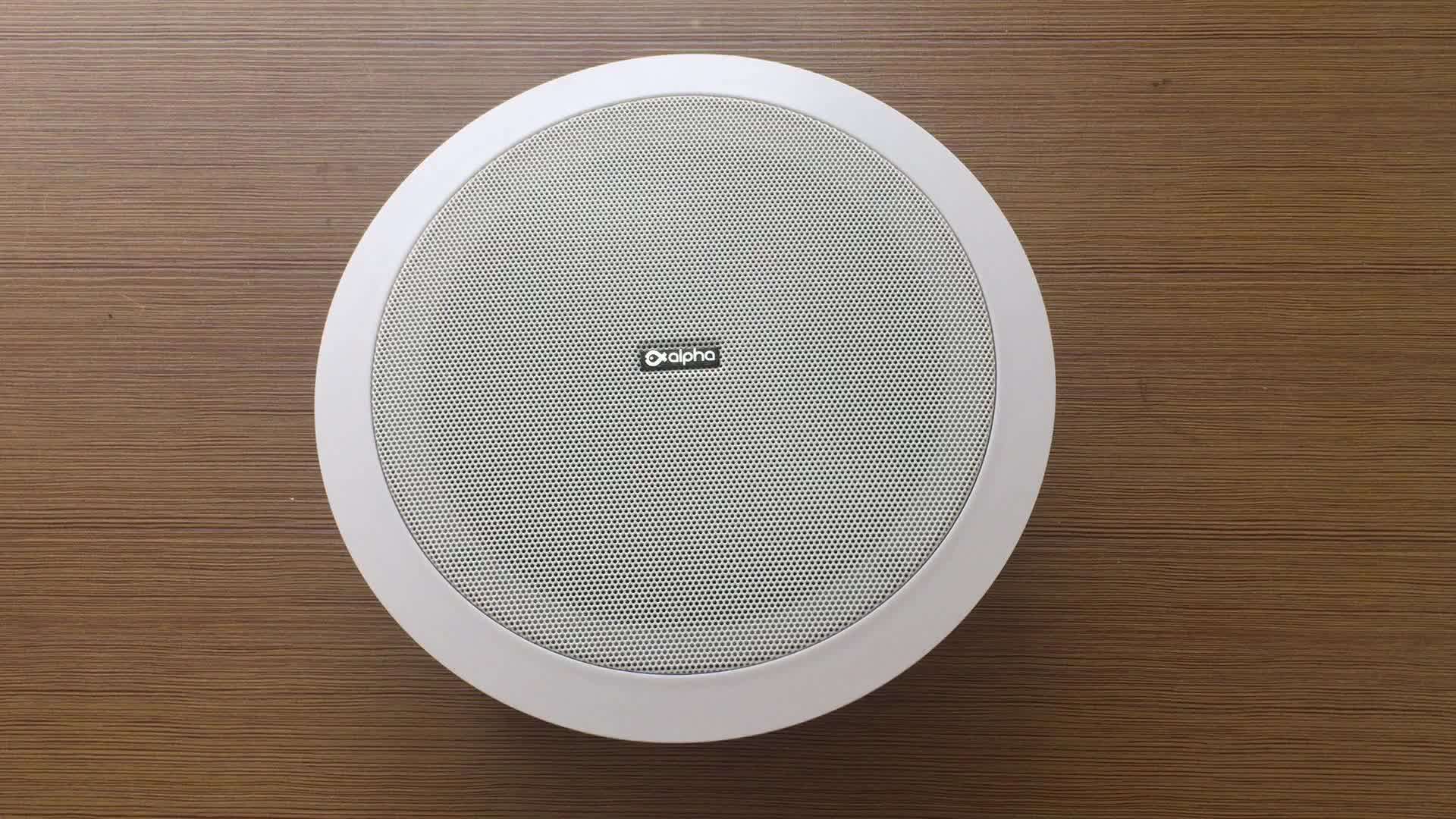 Outdoor Quality Ceiling Speakers Sound System Sale Buy Ceiling Sound