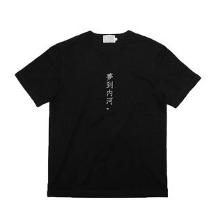 【金毛玲原创】张国荣 梦到内河 概念款 T恤 短袖 男女 文艺同款