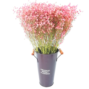 超大束水养鲜花吸色满天星干花花束真花永生花客厅装饰摆件插花