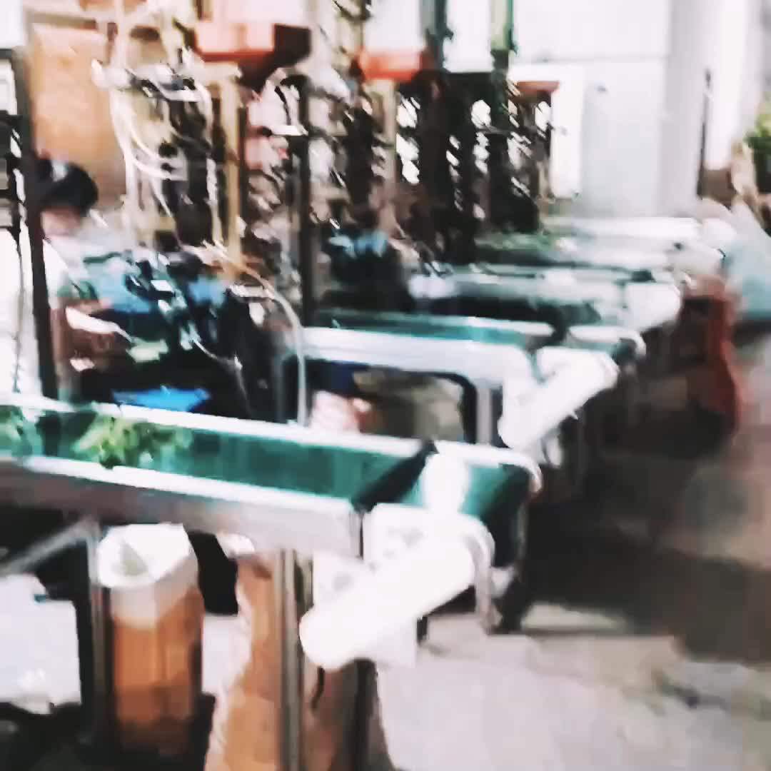 Indoor Banyan With Roots Real Wood Trunk Artificial Ficus Bonsai Plant