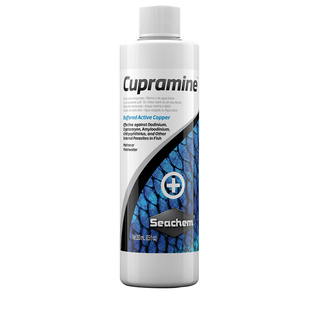 海化白点水白点海水鱼烂身寄生虫霉菌感柒 海水鱼烂肉水白膜外寄