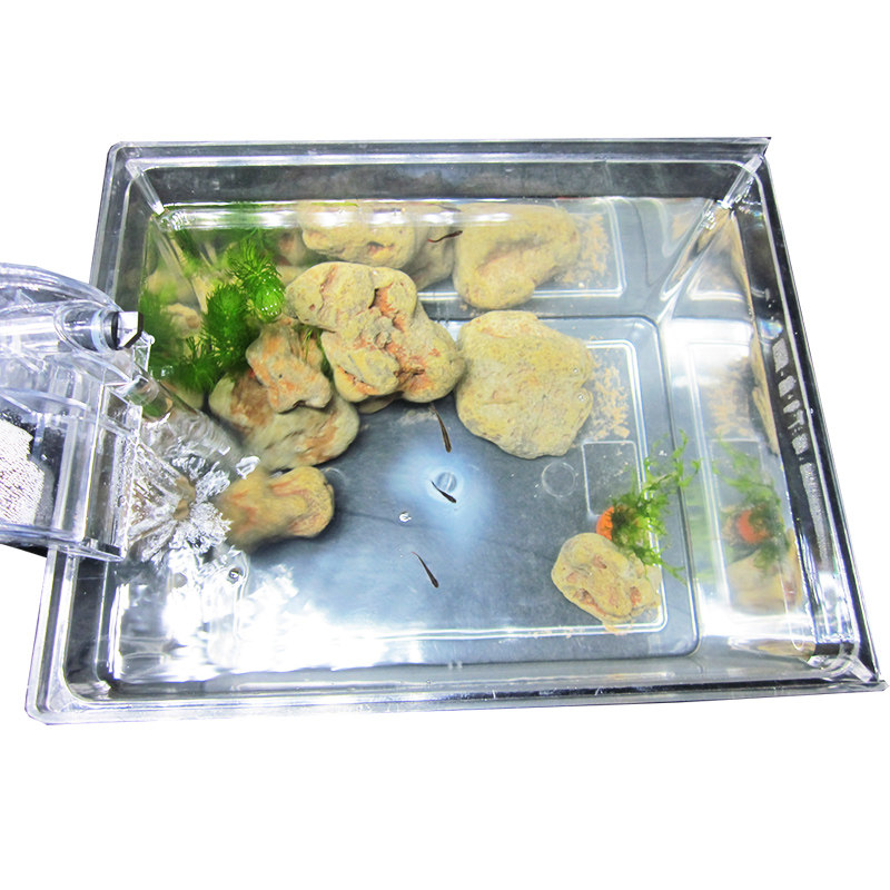 康馨孵化鱼缸塑料乌龟缸高透明鱼缸换水方便爬行缸小型中型带过滤