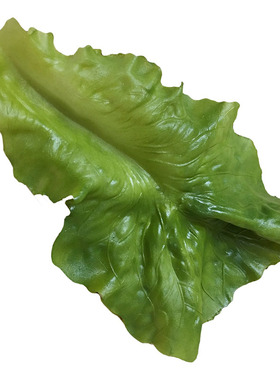 仿真生菜片模型道具 假大白菜叶片 软叶子摆件水果蔬菜装饰品玩具
