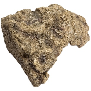 爬宠躲避屋晒台瘤尾豹纹守宫鬃狮蜥蜴寄居蟹岩石角落造景摆件洞穴