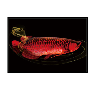 一条金龙鱼装饰画大红色年年有余晶瓷画商品房餐厅长方形横向挂画