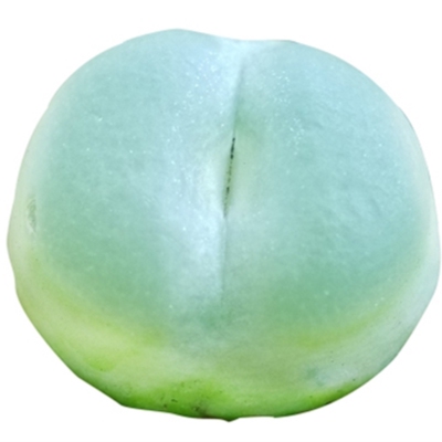 拉登双峰两年生新品限量出售多肉