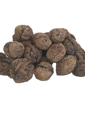 野生文玩食用硬壳榨油山核桃