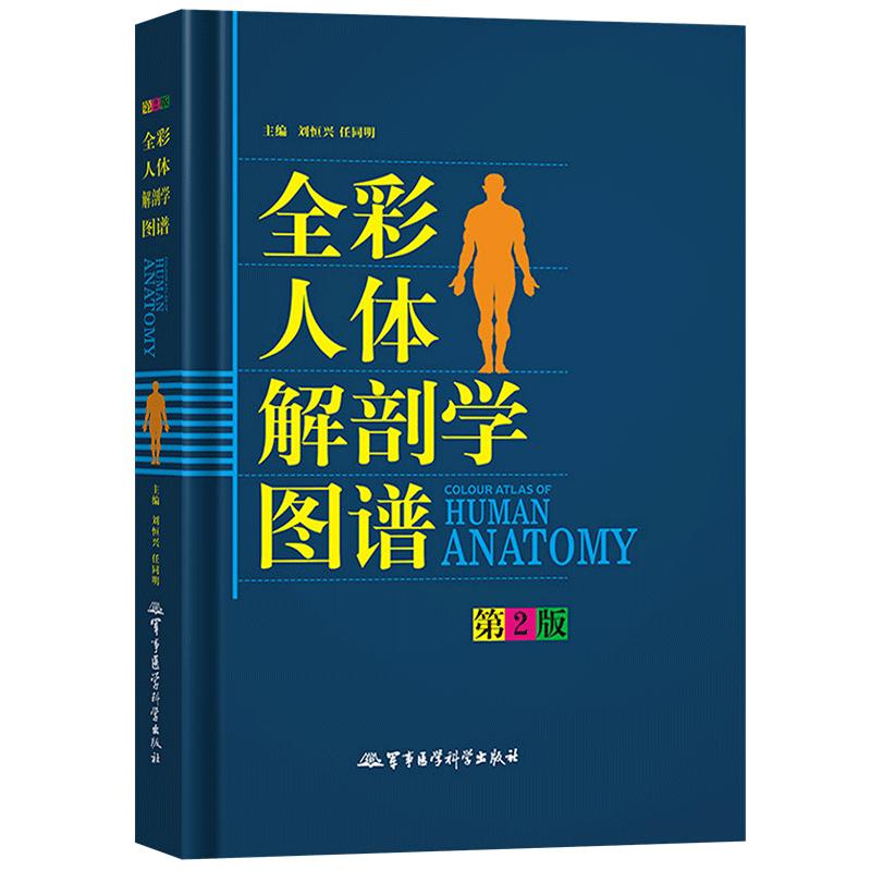 人体解剖彩色图谱第2版二版全彩人体解剖学图谱(精)彩色学图谱搭解剖列车奈特人体解剖学彩色图谱教材书西医解剖学外科医生用书