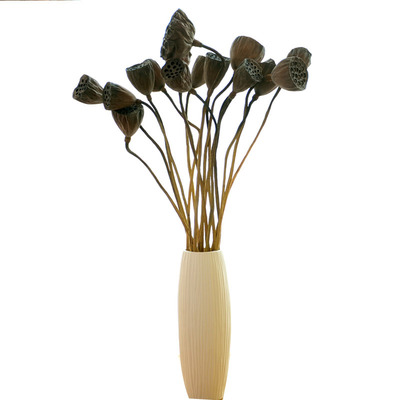 真杆莲蓬佛系家居装饰仿真荷干花