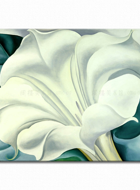 白色牵牛花欧姬芙艺术风装饰画
