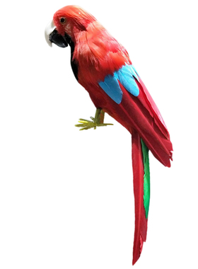 金刚鹦鹉鸟笼摄影道具手工艺品