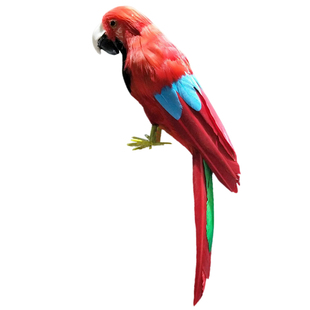 仿真金刚鹦鹉摆件园林装饰手工艺品羽毛小鸟家居摆件鸟笼摄影道具